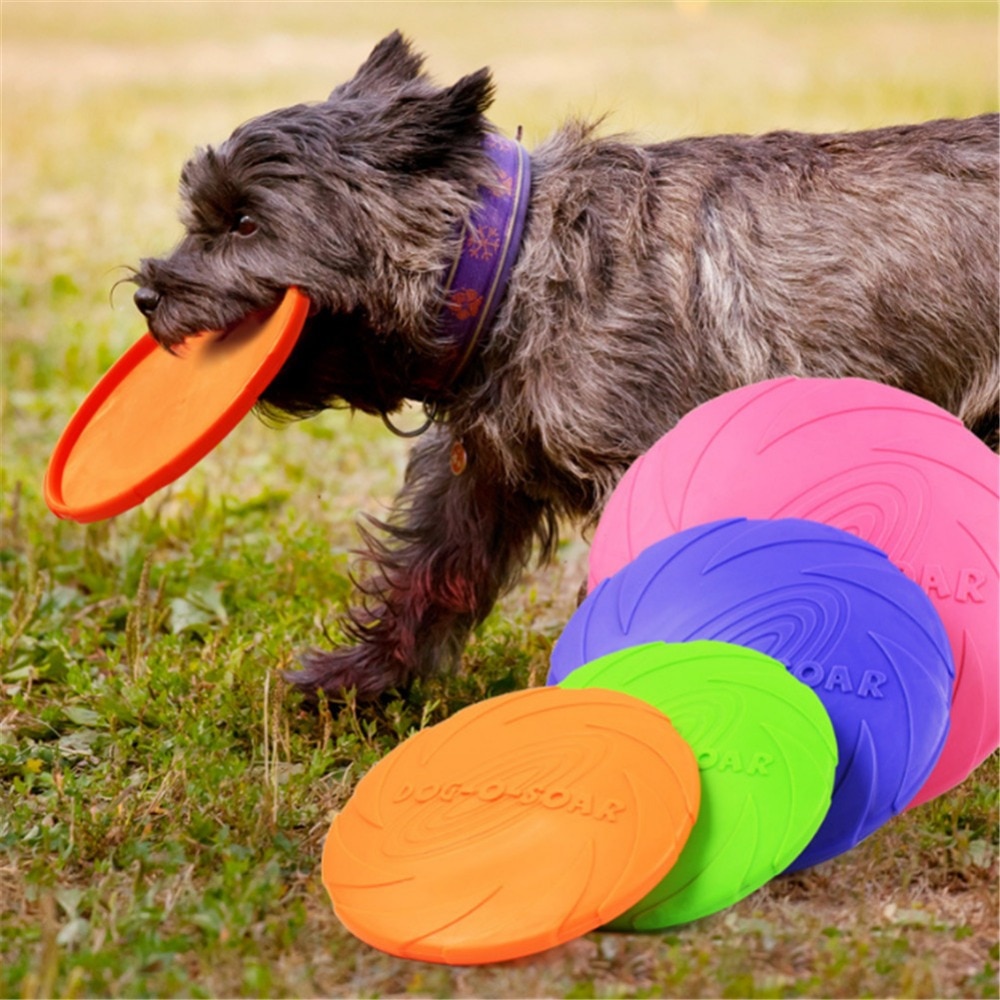 6PCS/Set Dog Flying Disc Silicone Game Toy for Dog Activity Games Dogs  Training Interactive Toys Flying Saucer Resistant Chew - AliExpress